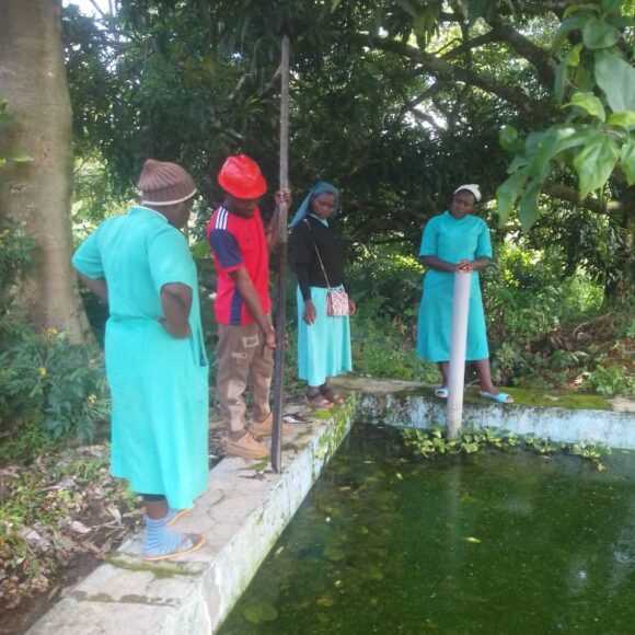 A ONE-DAY FREE TRAINING AND SUPPORT WORKSHOP ON PISCICULTURE ENTREPRENERSHIP IN BAMENDA